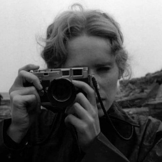 пленка бергмана с форё