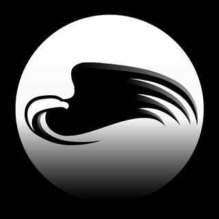 Александр Беркут | Основной канал