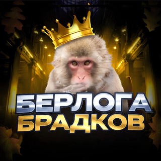 Берлога Брадков️⚔️