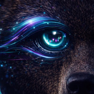 BERLOGA | TRADE | FREE