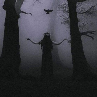 Био какого-то Рэя