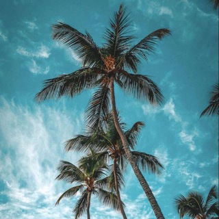 ТУРЫ ☀️ ПУТЕШЕСТВИЯ 🌴 Beru_travels