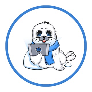 Блог нерпы BeSeed 🦭