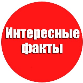 Бесполезно, но интересно