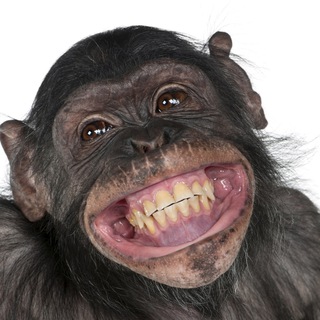 Анекдоты избранное🐒