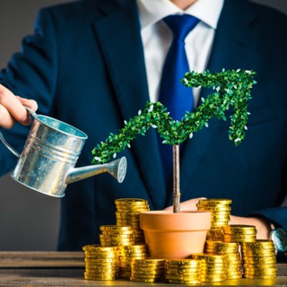 Заметки инвестора