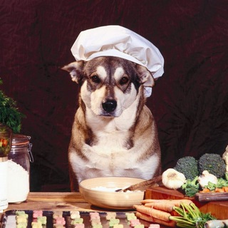 🍳Любимые рецепты!🍴