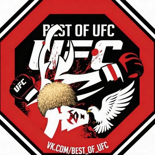 BEST OF UFC