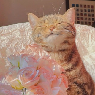 Красивые картинки на фон