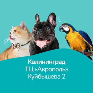 Зоомагазин Бетховен Калининград