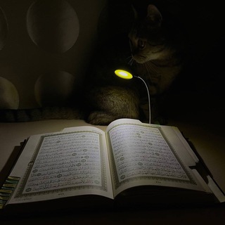 شفاء القلوب