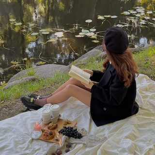 Дневник стюардессы VIP