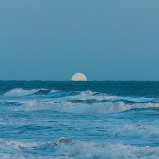 море в груди