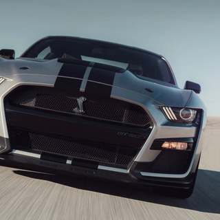 Без тормозов