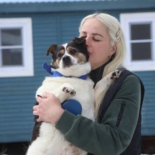 Приют Друг Навсегда🐕‍🦺