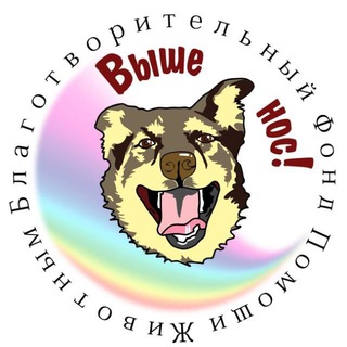 Фонд ВЫШЕ НОС 🐾