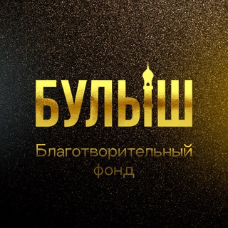 БФ «БУЛЫШ» ПОМОГАЙ!