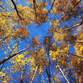 Библейская вера Путь к Богу Благая весть