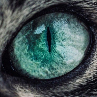 Око Оренбуржья 🆉