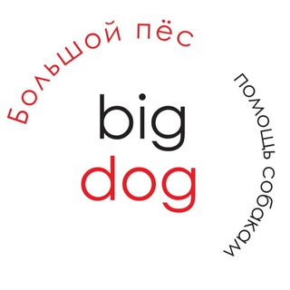 Bigdog_ekb помощь собакам🏡🐕💚