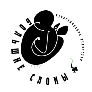 ТУРЫ✈️Большие Слоны