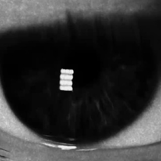 БИЛЛ НОГАМИ