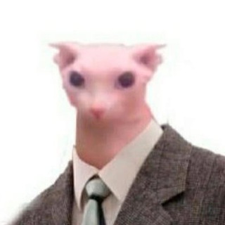 Николай Новиков | Уже смешарик