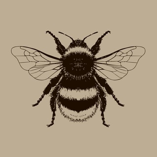 Шмели. Опыление. Биоинновации