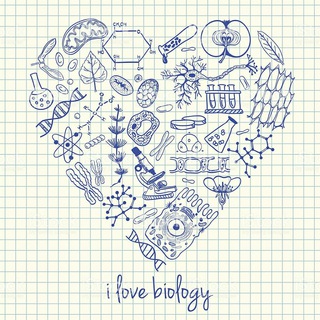 [~ʙɪᴏʟᴏɢɪʏᴀ-ᴋɪᴍʏᴏ~] Sᴀᴠᴏʟ-ᴊᴀᴠᴏʙ