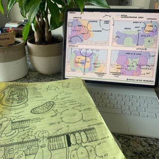 biolab | егэ по биологии