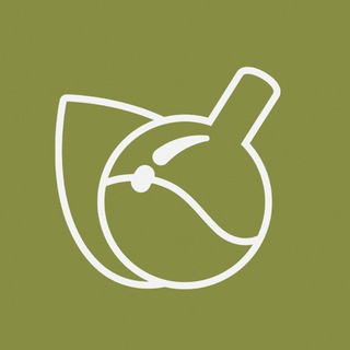 Профком студентов БФ МГУ