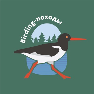 Birding-походы