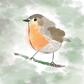 Лес и Птицы