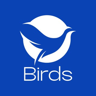 BIRDS - работа за границей