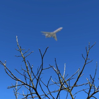 Российский Сочень 📸 "BuntarX11 Project"