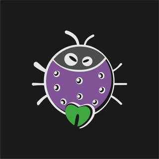 Программист Битрикс