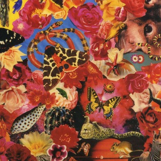 Битословие