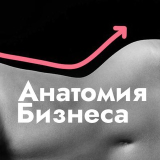 Анатомия бизнеса