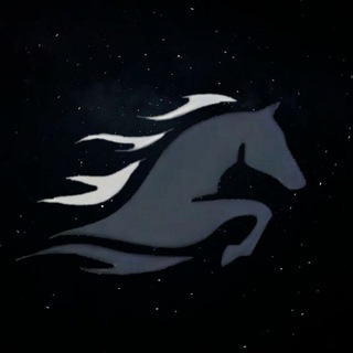 Конный клуб "Звезда"