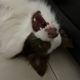 ☀️borderenok akselenok