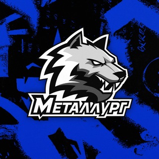 БК «Металлург»