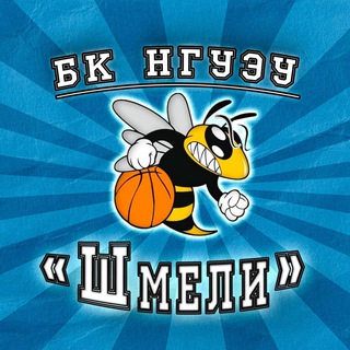 БК «Шмели»-НГУЭУ🐝🤩
