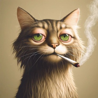 Бла Бла Бла News