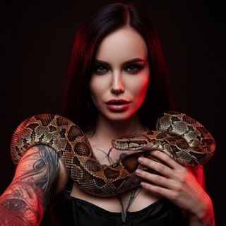 Женевьева Шулик ⛦