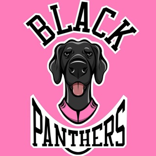 Black Panthers sleddog team || Ездовой спорт, евродоги, и один почти курцхар