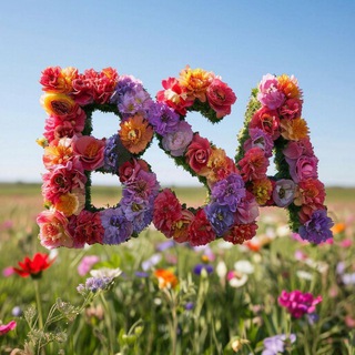 Black Sea Ambassador