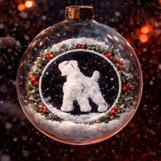 ЧЁРНАЯ МОЛНИЯ ⚡️