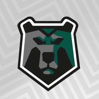 Футбольный клуб «Черные медведи - Политех»