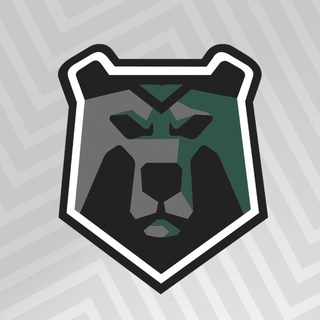 Футзальный клуб «Черные Медведи – Политех»