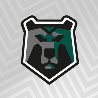 ВК «Черные Медведи-Политех»